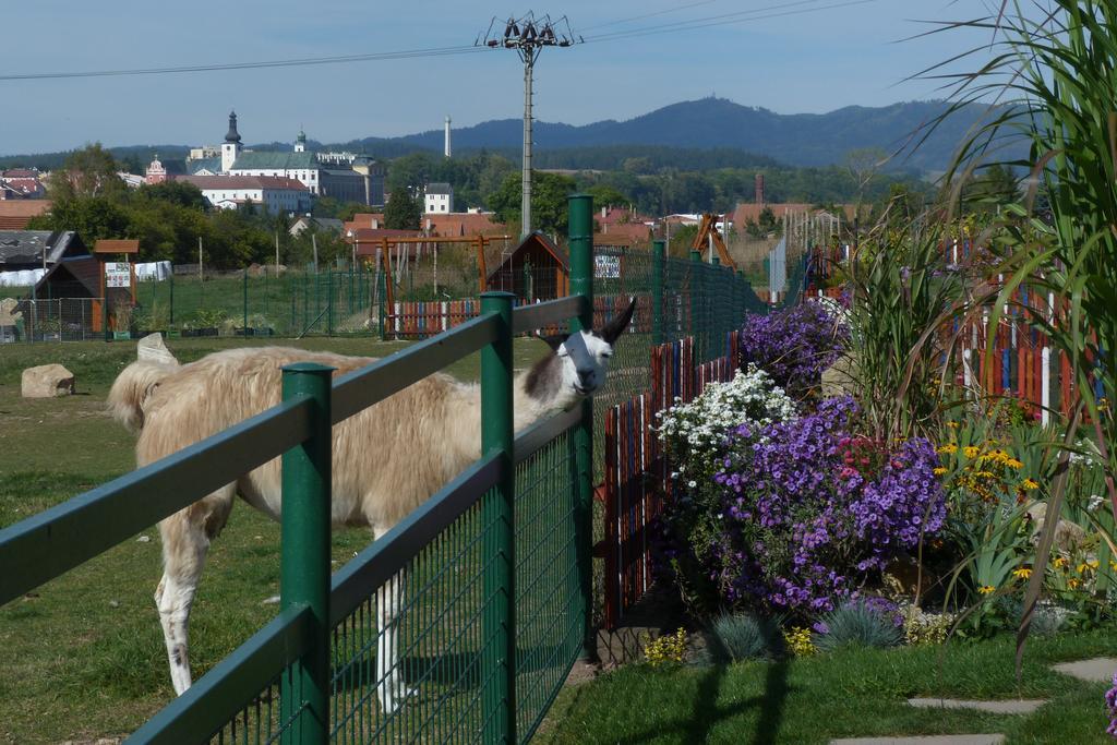 Villa Farma Wenet Broumov Exterior foto